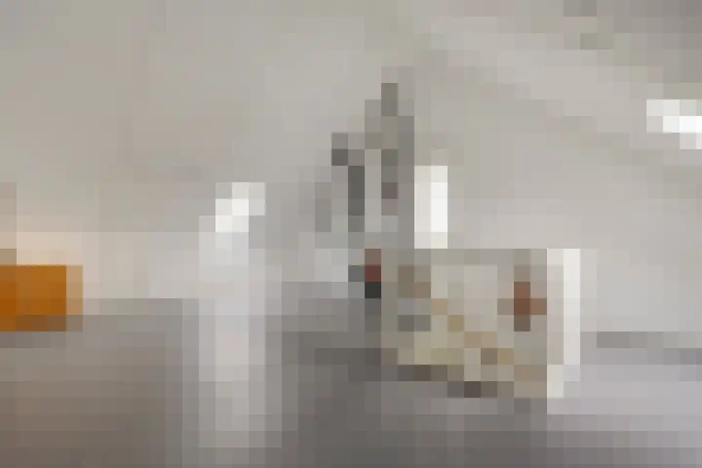 Perenboom 12 Cuijk thumbnail 42