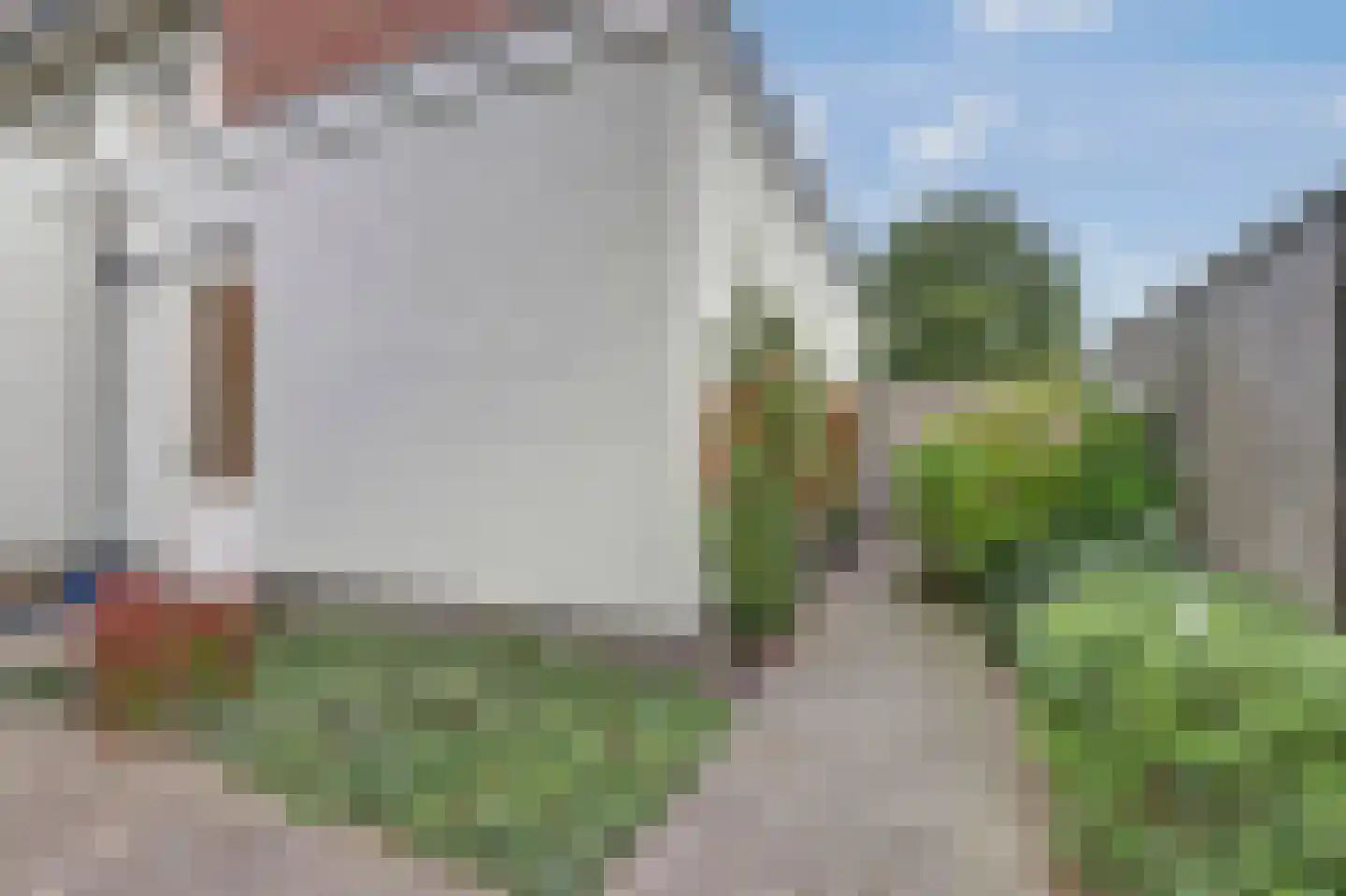 Perenboom 12 Cuijk thumbnail 45