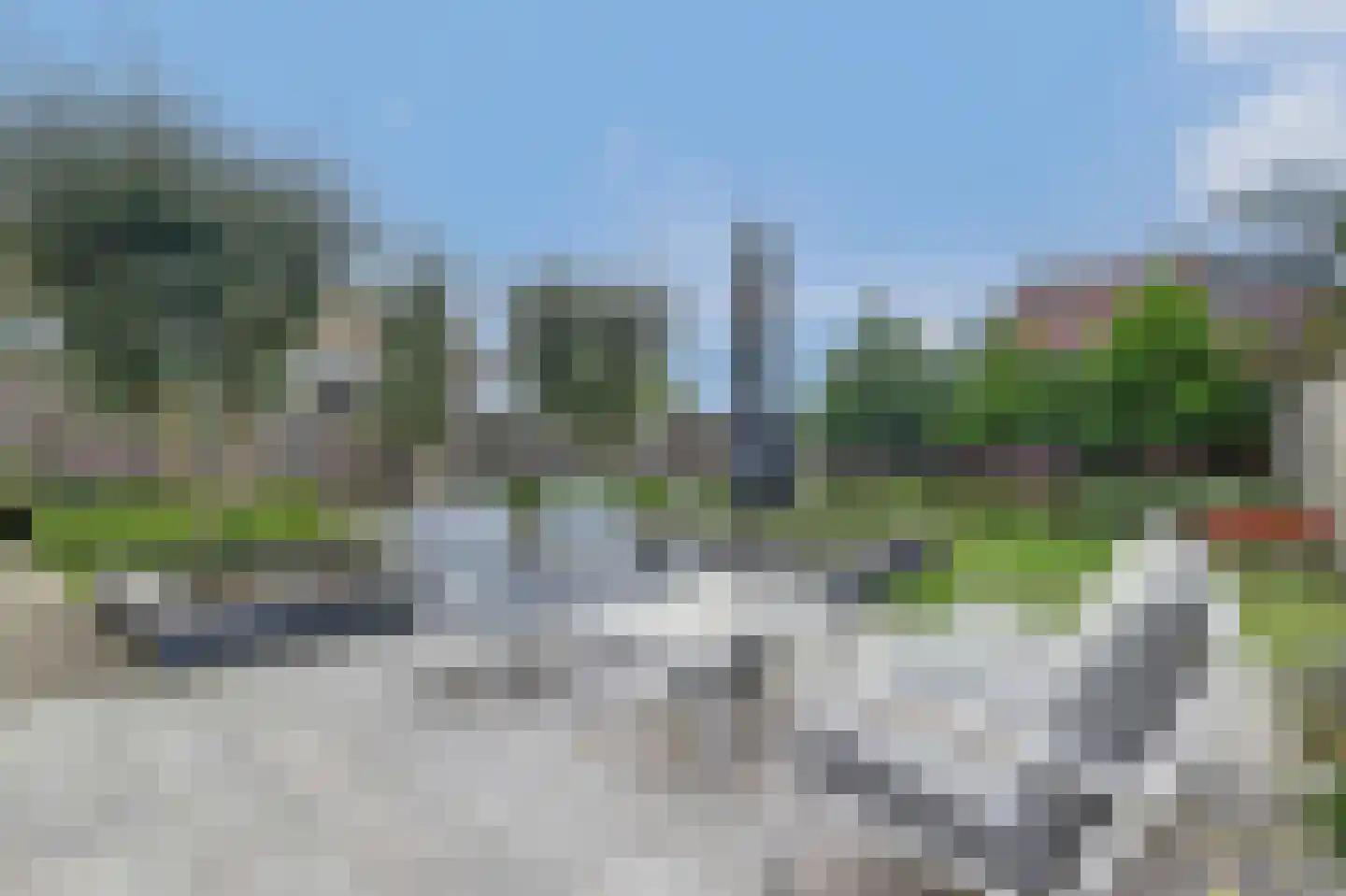 Perenboom 12 Cuijk thumbnail 46
