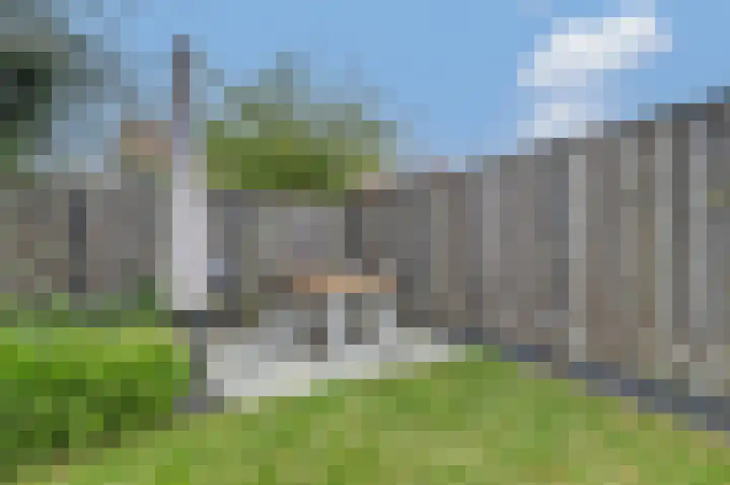 Perenboom 12 Cuijk thumbnail 47
