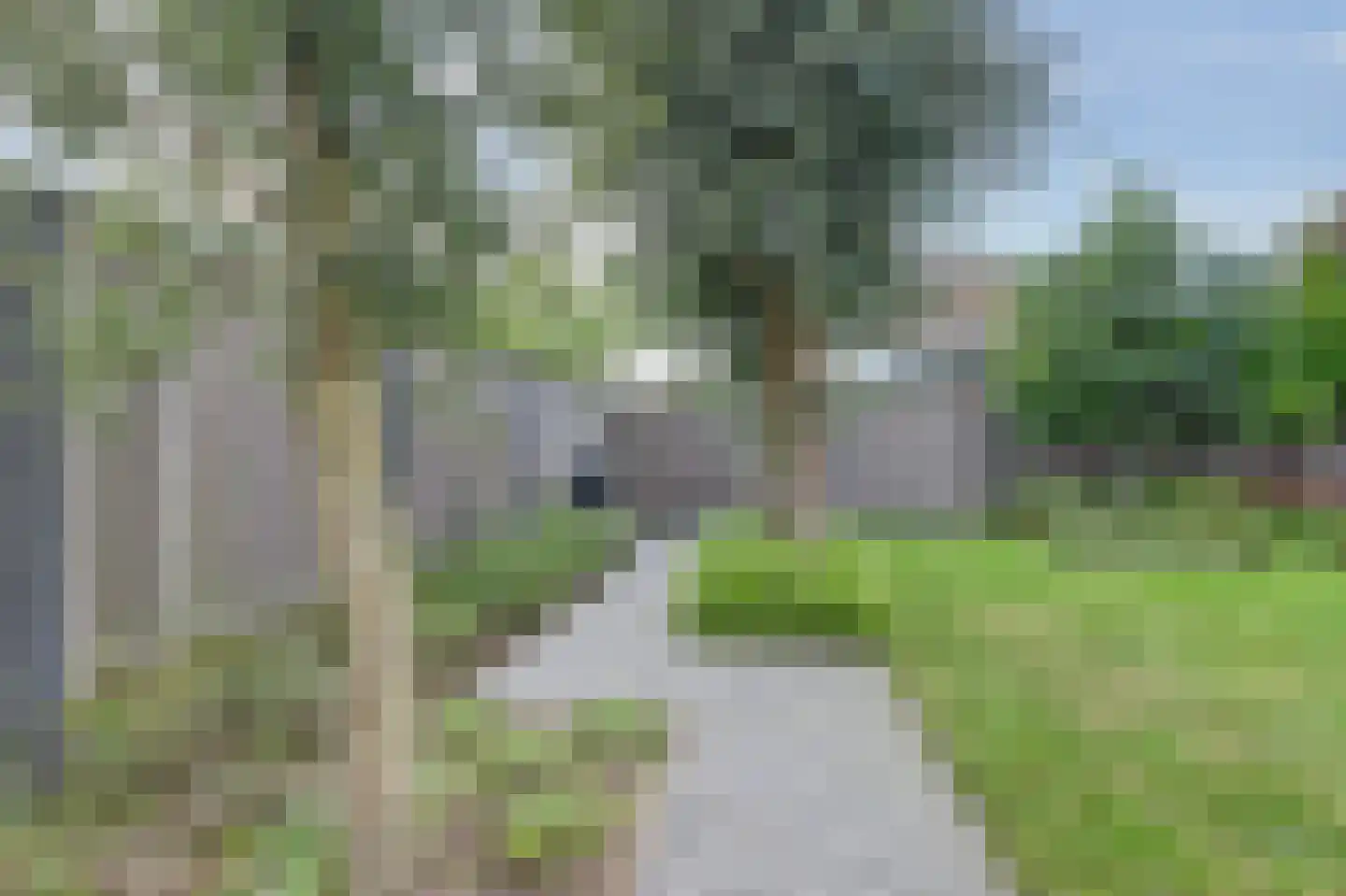 Perenboom 12 Cuijk thumbnail 48