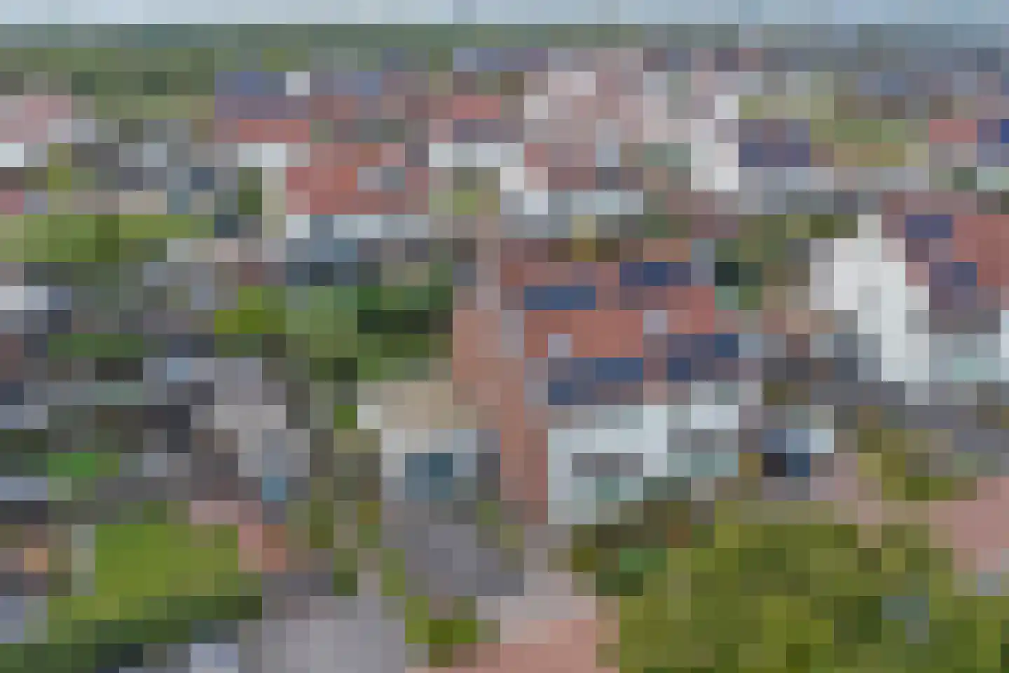Perenboom 12 Cuijk thumbnail 8