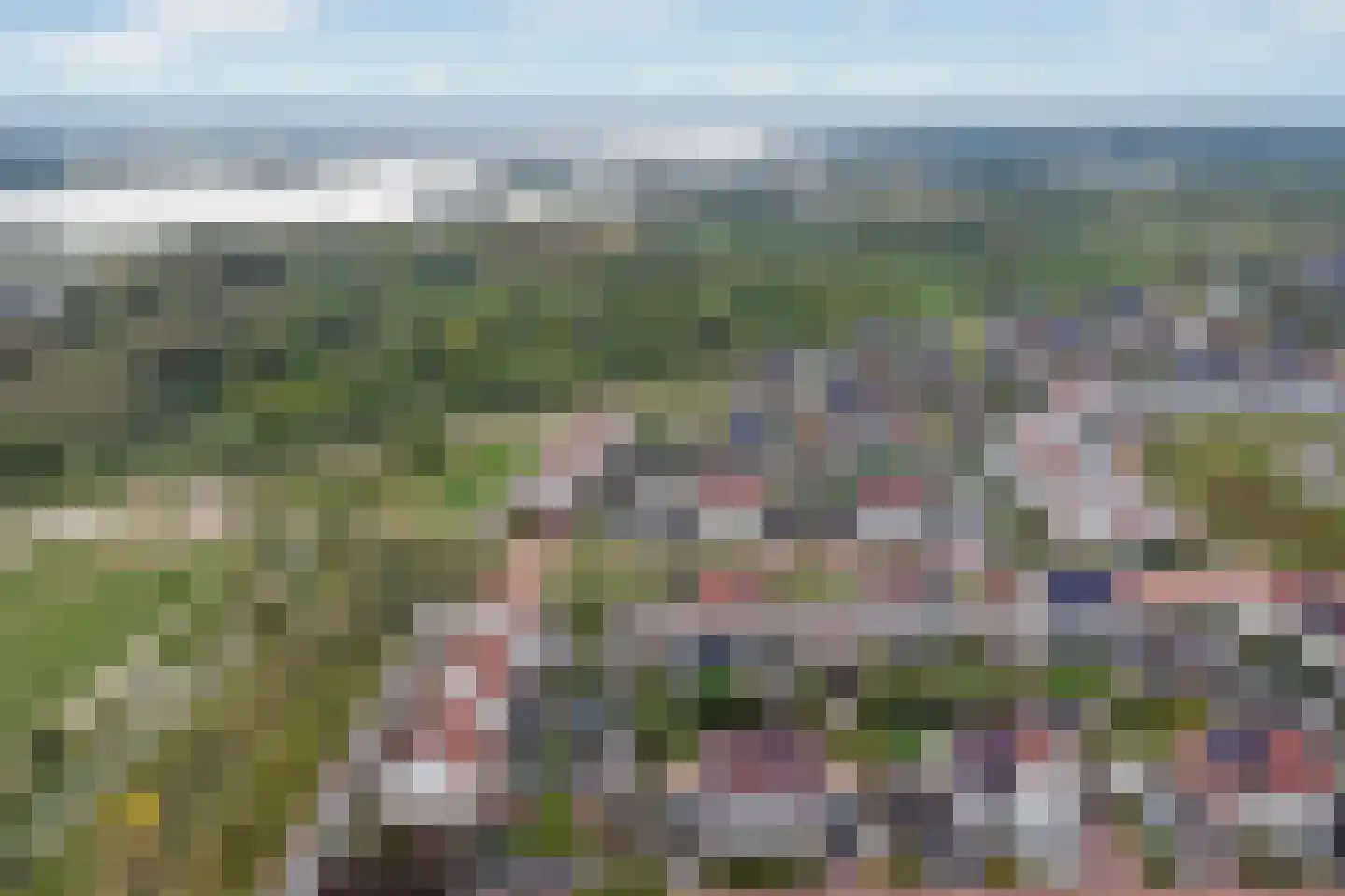 Perenboom 12 Cuijk thumbnail 9