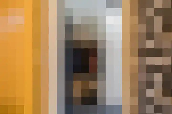 Perenboompad 8 IJmuiden thumbnail 17