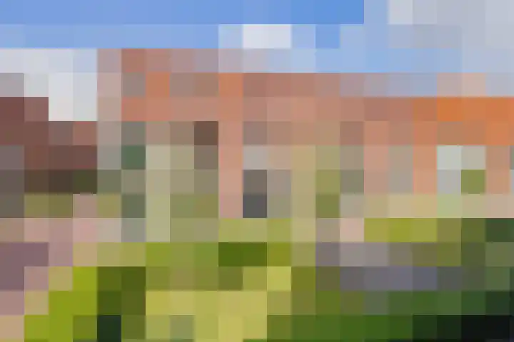 Perenboompad 8 IJmuiden thumbnail 27