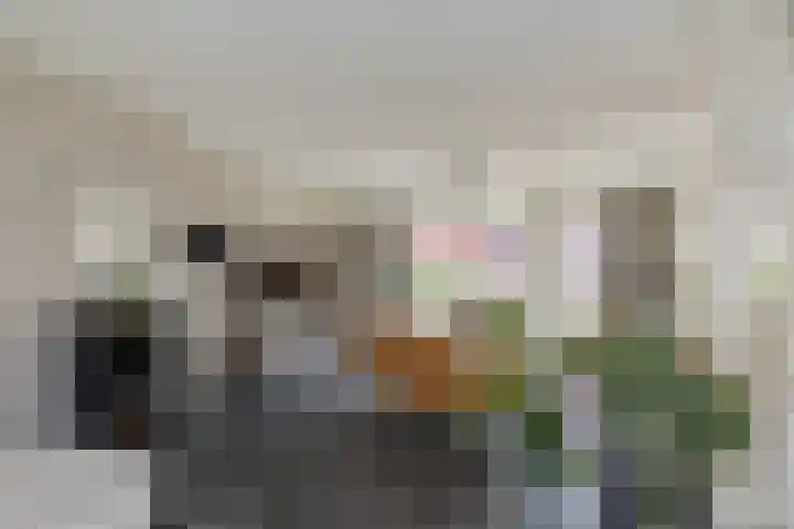 Perenboompad 8 IJmuiden thumbnail 33