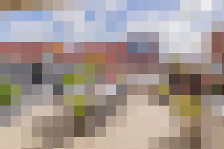 Perenboompad 8 IJmuiden thumbnail 35