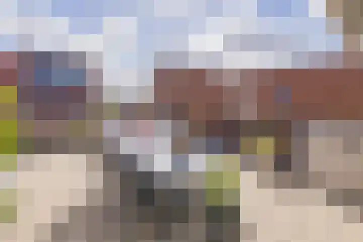 Perenboompad 8 IJmuiden thumbnail 36
