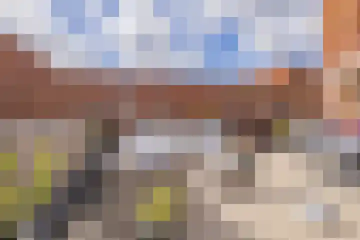 Perenboompad 8 IJmuiden thumbnail 37