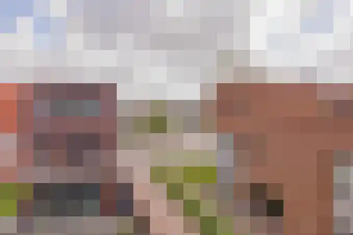 Perenboompad 8 IJmuiden thumbnail 44