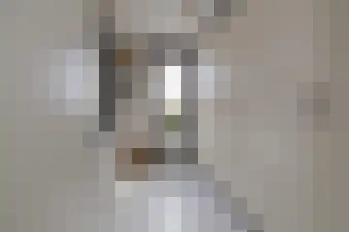 Perenboompad 8 IJmuiden thumbnail 47