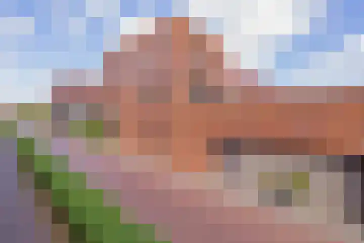Perenboompad 8 IJmuiden thumbnail 6