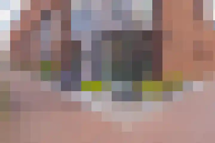 Perenboompad 8 IJmuiden thumbnail 8