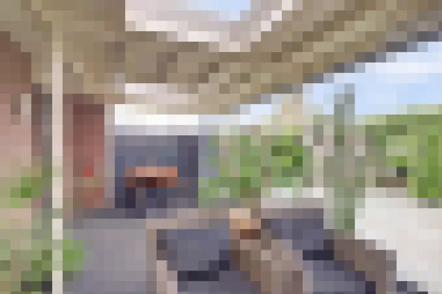 Perendreef 1 Asperen thumbnail 17
