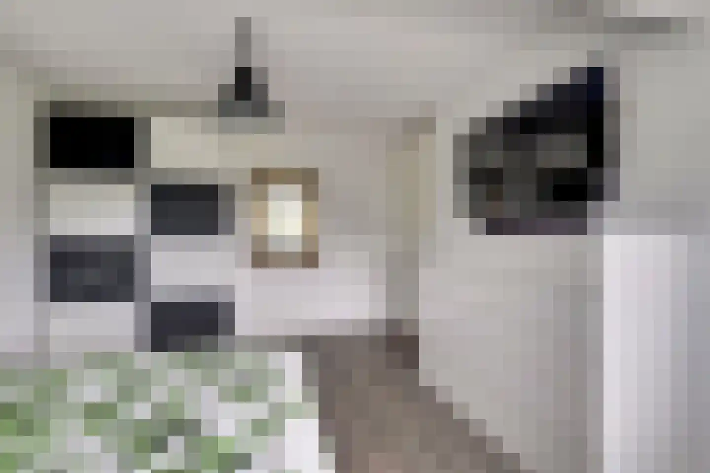 Perendreef 1 Asperen thumbnail 27