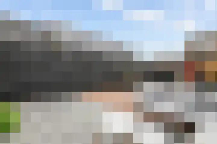 Perendreef 16 Arkel thumbnail 13