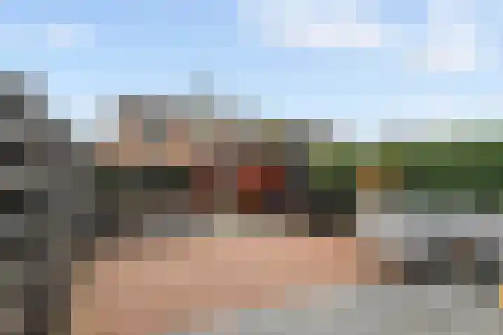 Perendreef 16 Arkel thumbnail 14