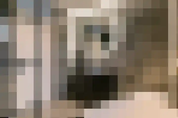 Perendreef 16 Arkel thumbnail 21
