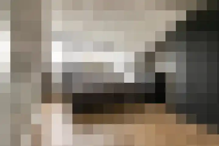 Perendreef 16 Arkel thumbnail 27
