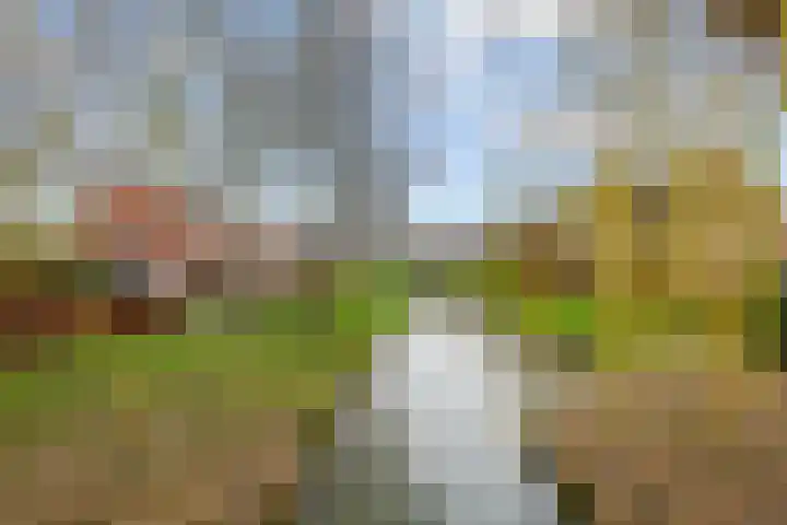 Perendreef 16 Arkel thumbnail 29