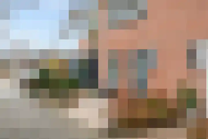 Perendreef 16 Arkel thumbnail 30