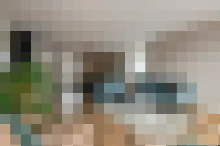 Perendreef 16 Arkel thumbnail 6