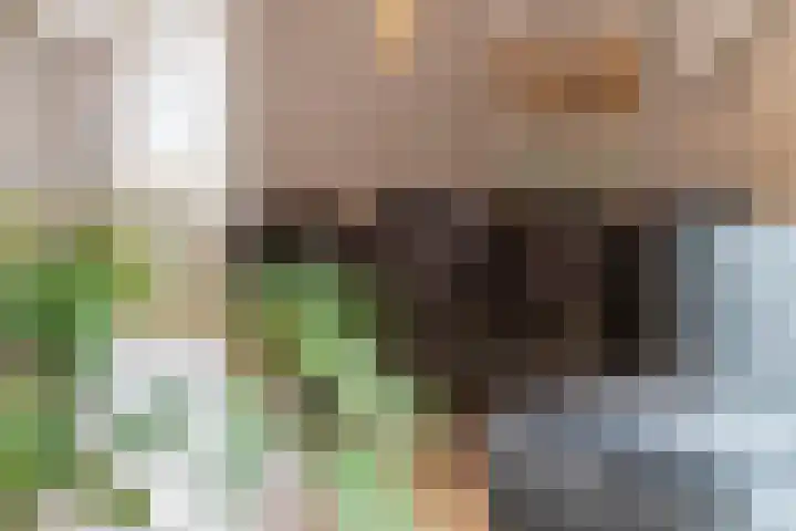 Perendreef 16 Arkel thumbnail 7