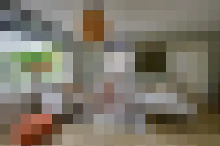 Perendreef 2 Arkel thumbnail 12