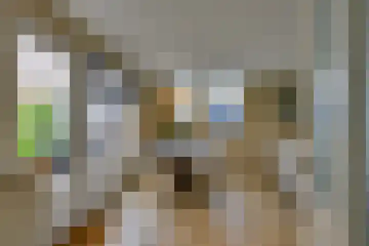 Perendreef 2 Arkel thumbnail 15