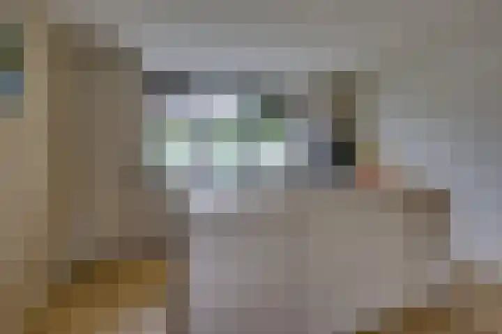 Perendreef 2 Arkel thumbnail 16