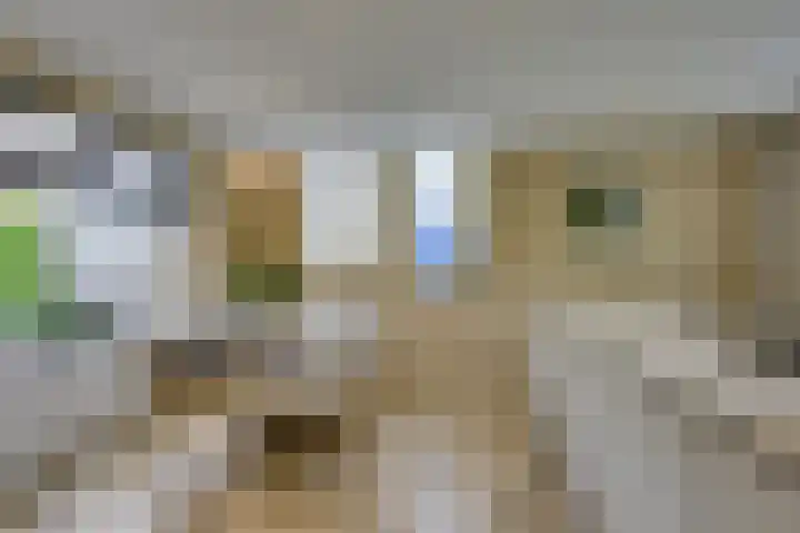 Perendreef 2 Arkel thumbnail 18
