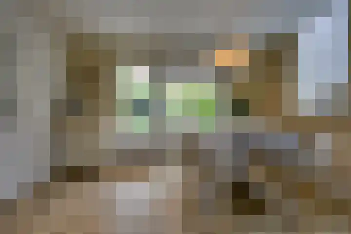 Perendreef 2 Arkel thumbnail 19