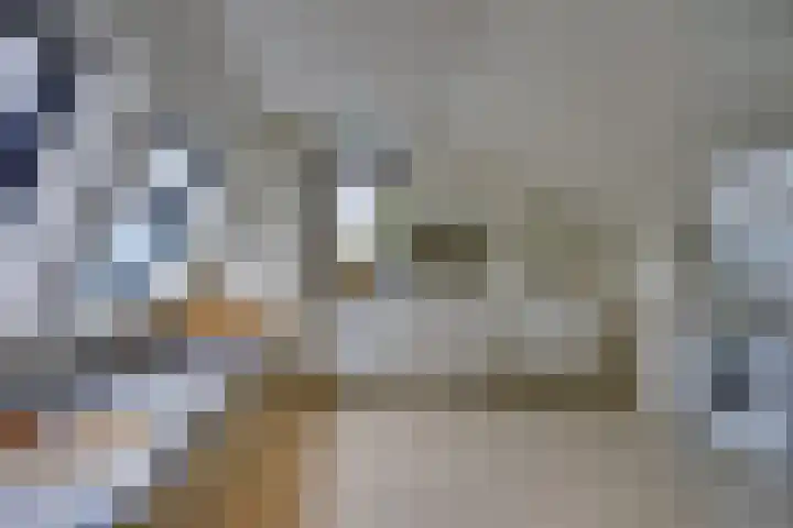 Perendreef 2 Arkel thumbnail 26