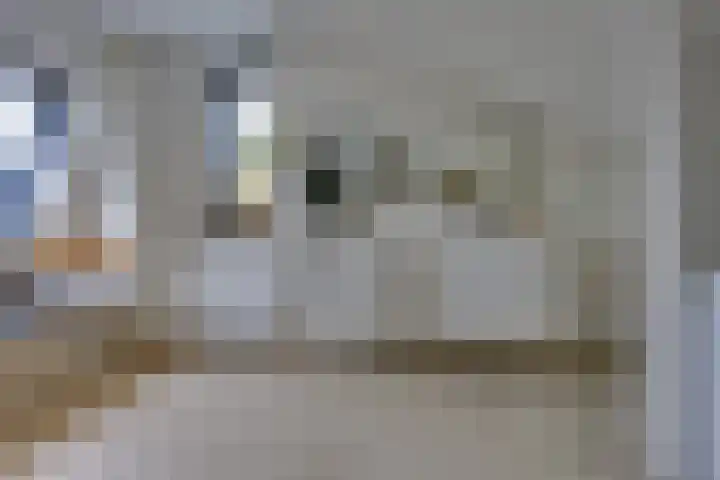 Perendreef 2 Arkel thumbnail 27