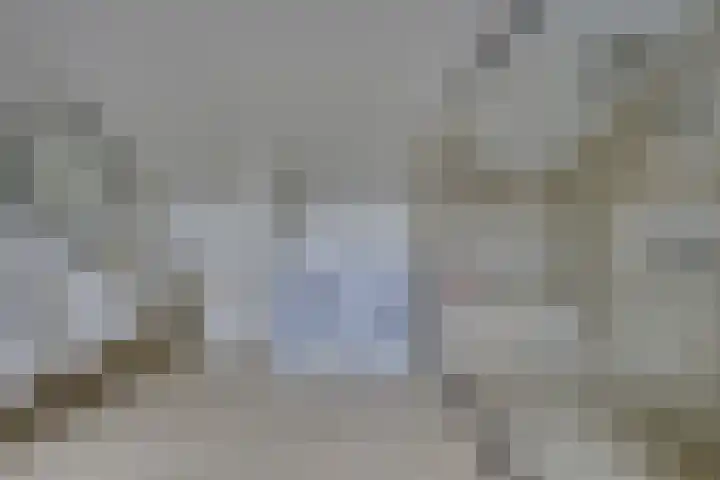 Perendreef 2 Arkel thumbnail 28