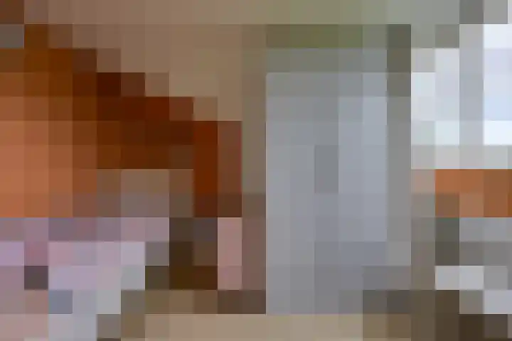 Perendreef 2 Arkel thumbnail 30