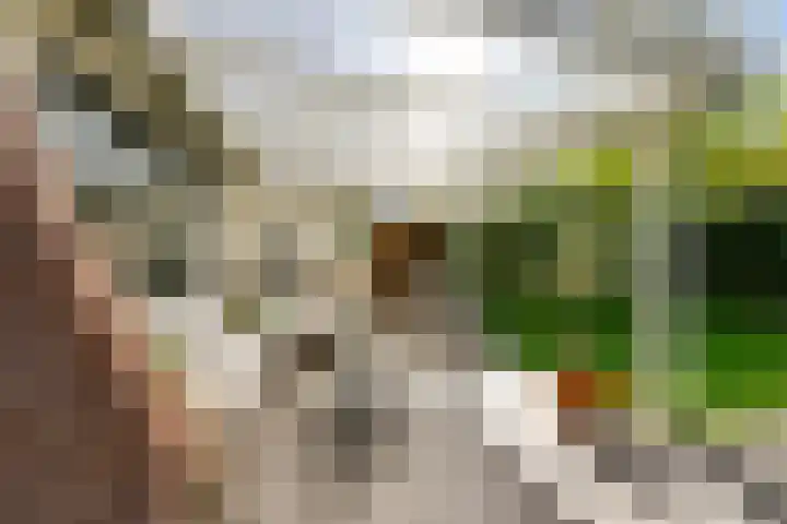Perendreef 2 Arkel thumbnail 31