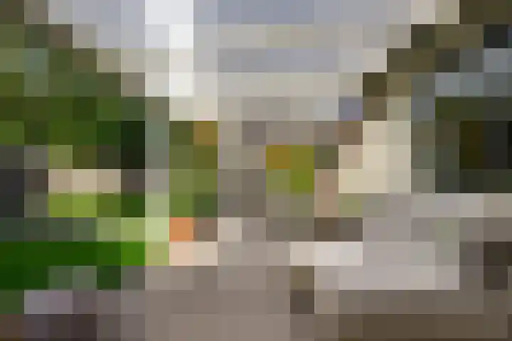 Perendreef 2 Arkel thumbnail 32