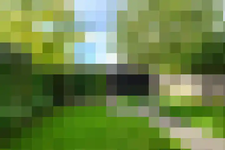 Perendreef 2 Arkel thumbnail 35