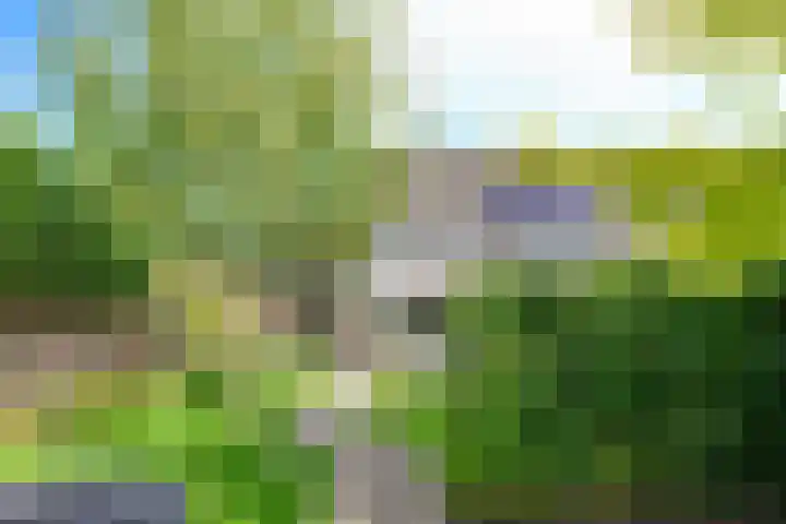 Perendreef 2 Arkel thumbnail 37