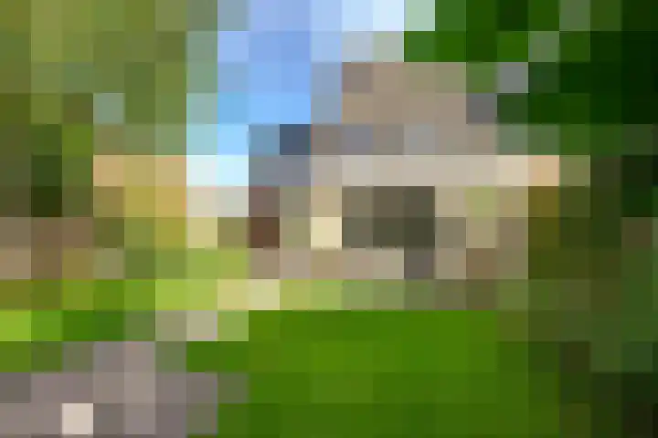 Perendreef 2 Arkel thumbnail 38