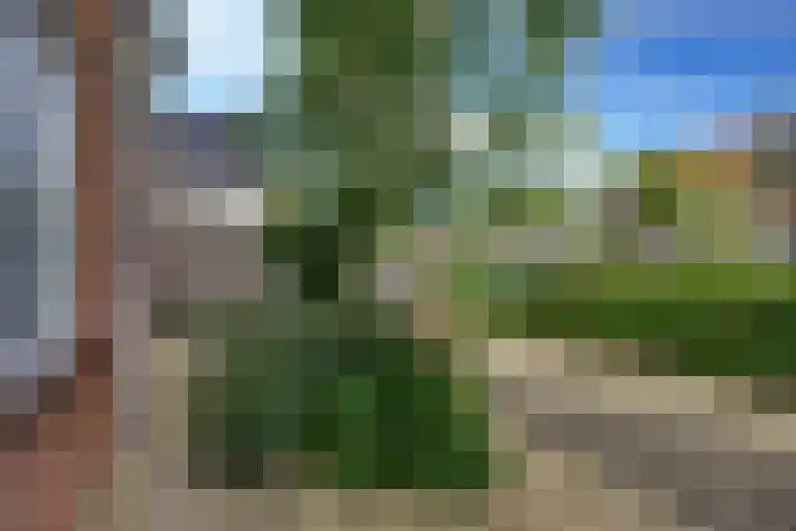Perendreef 2 Arkel thumbnail 39
