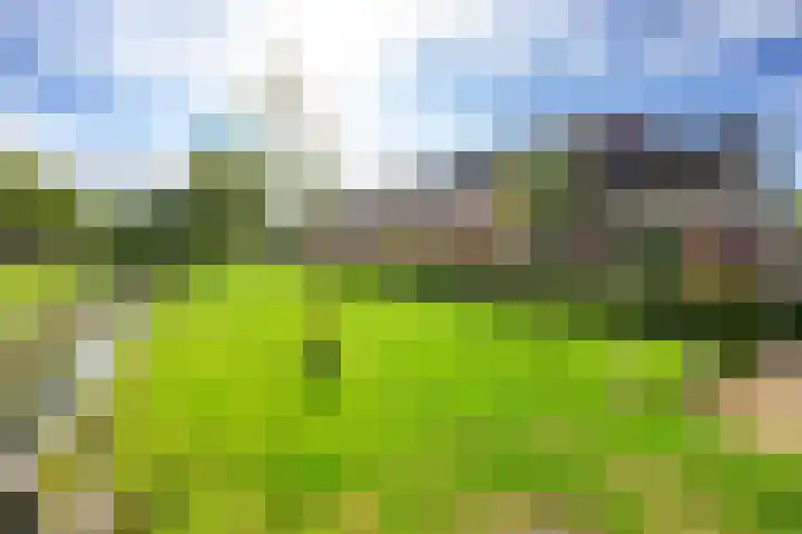 Perendreef 2 Arkel thumbnail 40