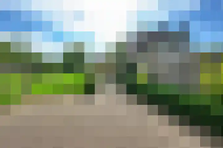Perendreef 2 Arkel thumbnail 41