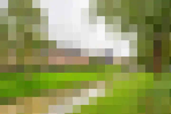 Perendreef 2 Arkel thumbnail 43
