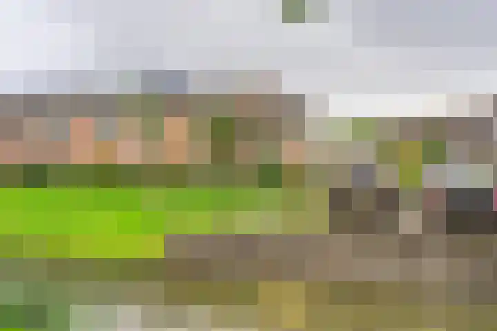 Perendreef 2 Arkel thumbnail 44