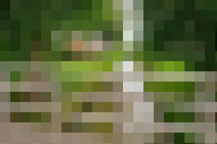 Perendreef 2 Arkel thumbnail 45
