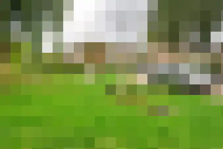 Perendreef 2 Arkel thumbnail 46