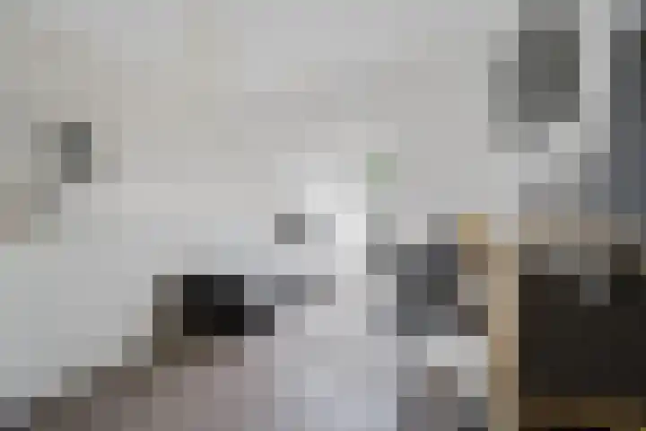 Perengaard 16 Spijkenisse thumbnail 20