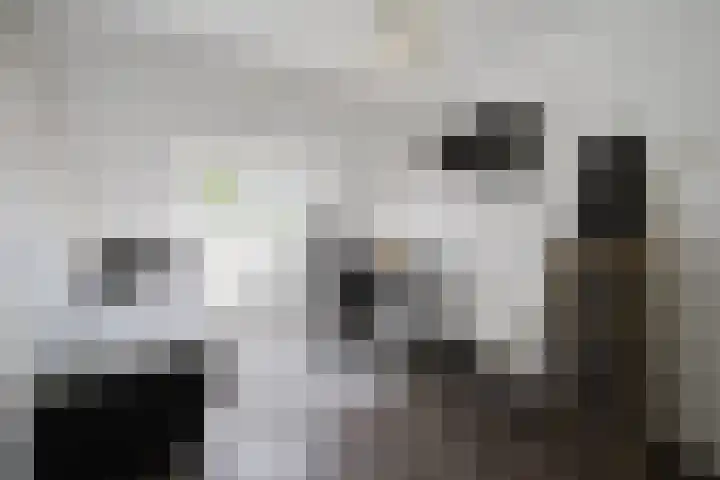 Perengaard 16 Spijkenisse thumbnail 21